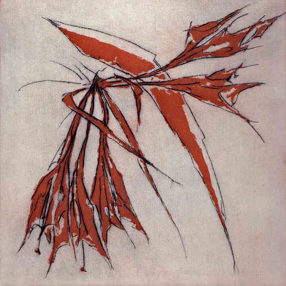 Amaryllis