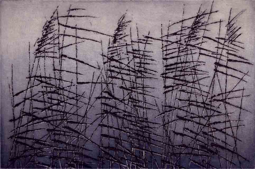 Schilf grau