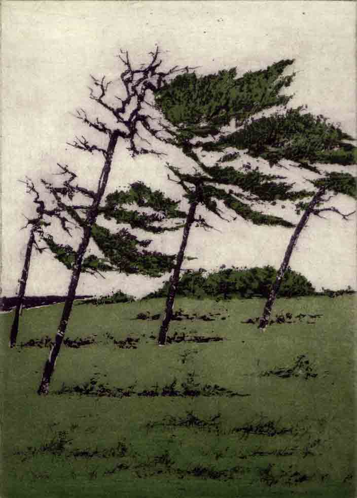 Windflchter