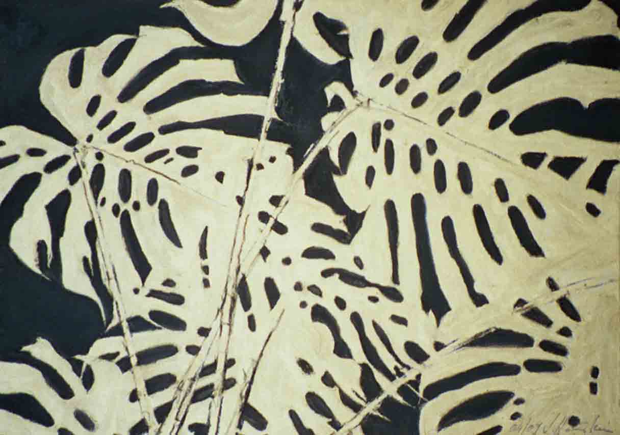 Monstera gold